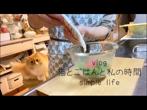 【料理vlog】鶏むね肉のチーズピカタ/私の帰宅を心待ちにしてた猫