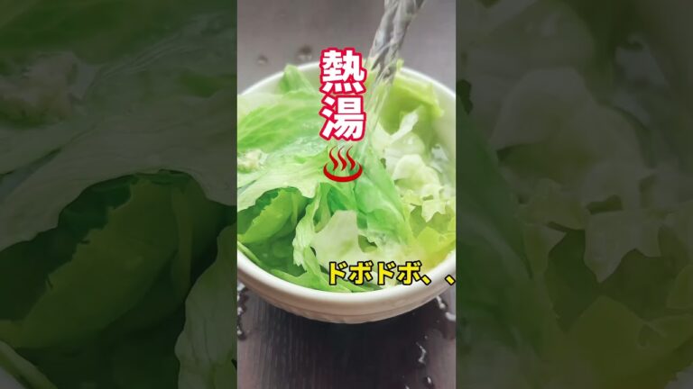 【完全リセット】たった１日でデトックス！脅威の生レタススープ。空腹感ゼロ！｜食べ過ぎ・むくみも解決｜ #40代ダイエット #50代ダイエット #デトックス #体脂肪率 #更年期ダイエット #毒出し