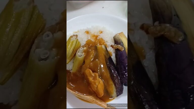 【茄子カレーor茄子だけ どちらが好きですか？】#平凡動画シリーズ　Eggplant curry or eggplant only, which do you prefer?　#shorts#ボンドウ