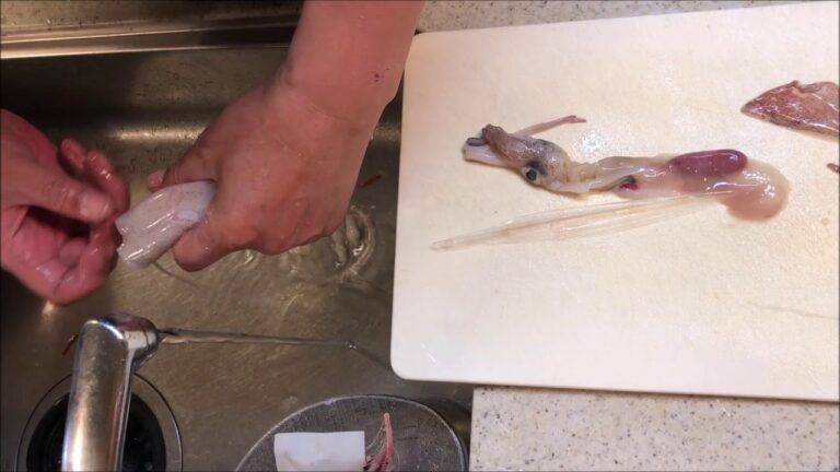 断腸亭料理日記・やりいかをさばく