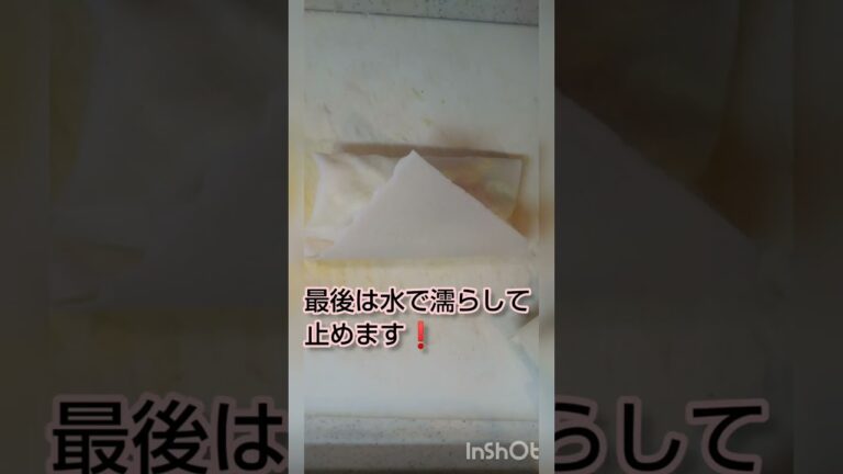 具材を巻いたらトースター５分で完成する焼き春巻き #shorts