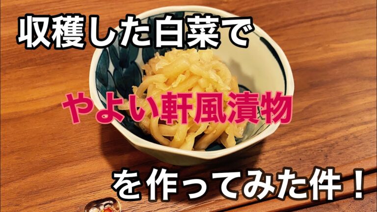 【白菜漬物】やよい軒風お漬物を作ってみました。【家庭菜園日記】【初心者】