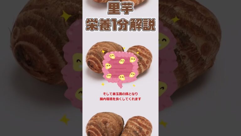 【ゆっくり解説】里芋の栄養を1分で解説 #shorts