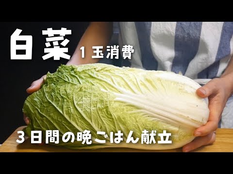 【白菜のおかず】３日間で１玉消費する晩ご飯作り【料理VLOG】