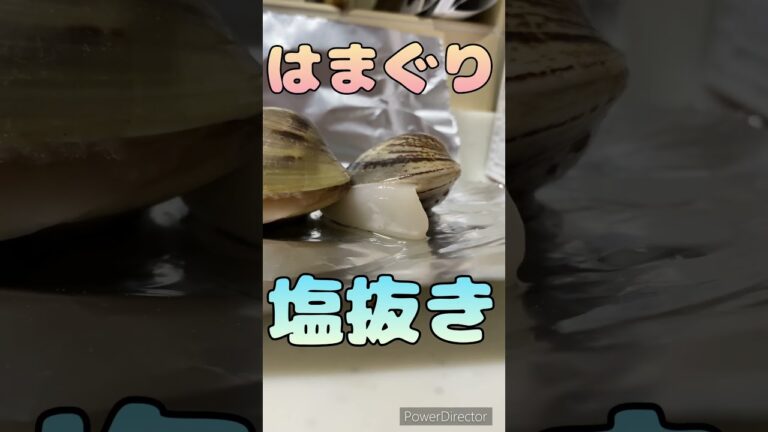 はまぐりの動きを見る実験