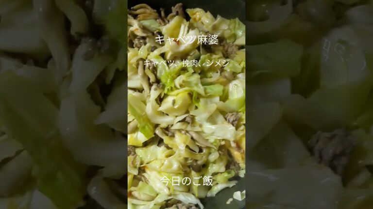 【適当ご飯】キャベツ麻婆（豆腐なし)