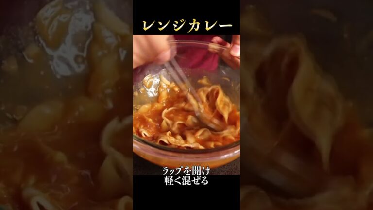 レンジで5分加熱する『革命カレー』を知ったら他のカレーには戻れません