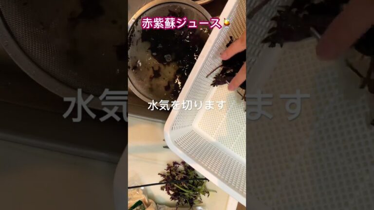 【赤紫蘇ジュース♪】②#かんたんレシピ #赤紫蘇ジュース#夏レシピ #クックパッド参考#初チャレンジ#レシピ動画
