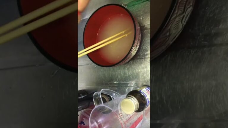 【雑飯】超簡単鶏ガラにんにく素麺