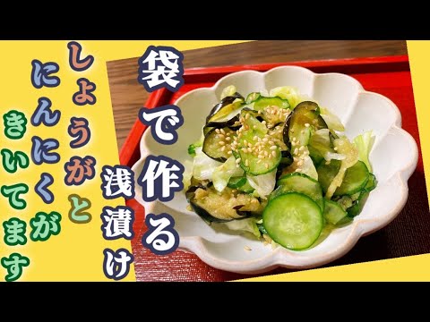 【きゃべつ・なす・きゅうりの浅漬け】超簡単でおいしいです。サラダ感覚でどうぞ！