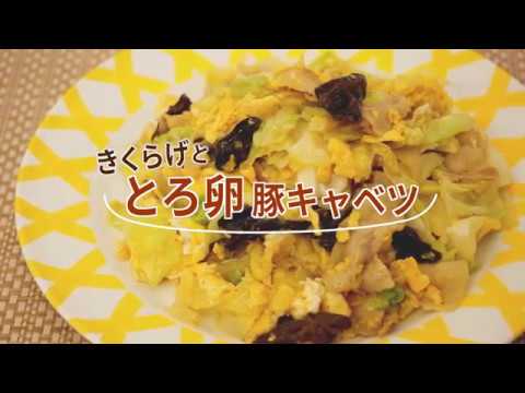 味の素 きくらげととろ卵豚キャベツ(乾燥きくらげ)