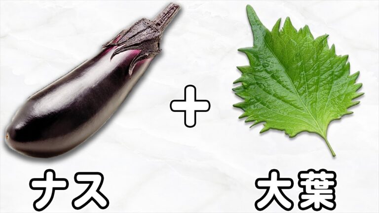 なすの簡単レシピ！【ナスの大葉巻き味噌炒め】ご飯と相性抜群！箸が止まらない絶品料理の作り方/なすびレシピ/大葉レシピ/味噌炒め/作り置きおかず/お弁当おかず【あさごはんチャンネル】