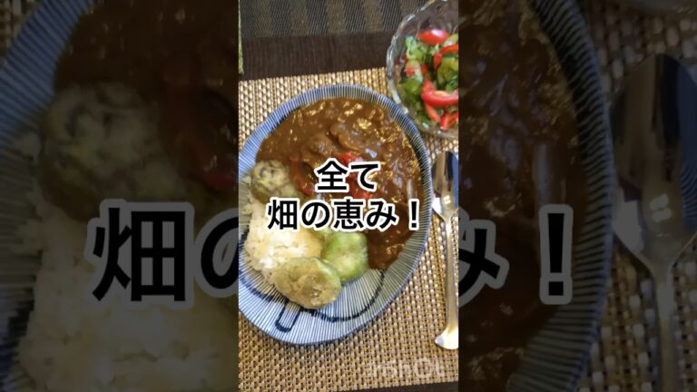 農家のランチ！夏野菜たっぷりカレー #家庭菜園 #新鮮野菜 #畑 #丹沢自然農園#白ナス