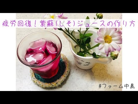 【疲労回復！】おいしい紫蘇(しそ)ジュースの作り方