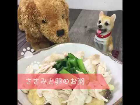 ささみと卵のお粥