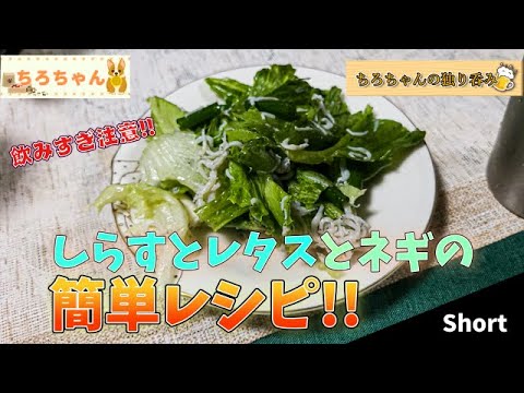 ちろちゃんの独り呑み レタスとしらすで簡単おつまみ。４K＃shorts