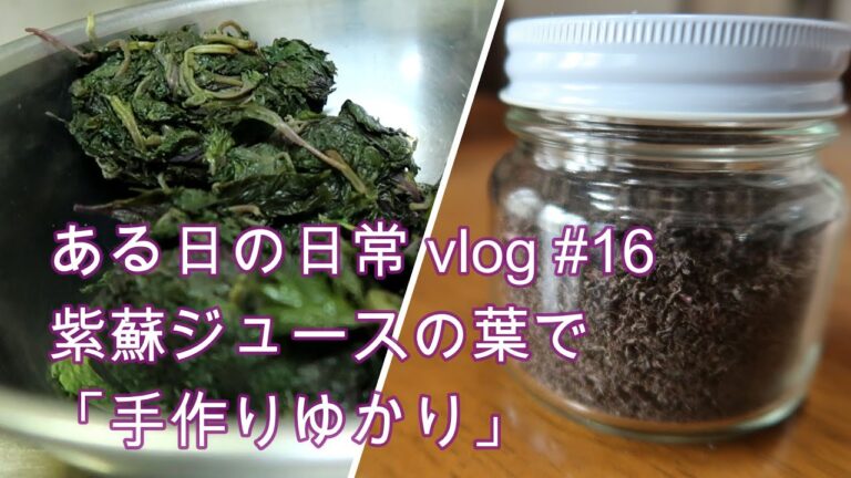 シニア一人暮らし#16｜紫蘇ジュースの葉で「ゆかり」を作る。