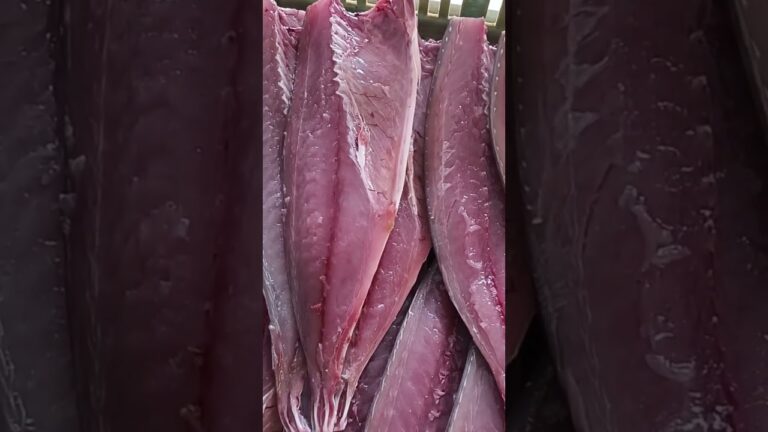 さば一夜干し #干物 #静岡グルメ #mackerel