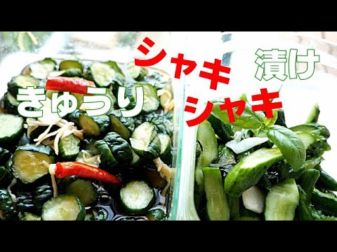 【きゅうり漬物】ハチハチおばあちゃんのシャキシャキしたきゅうり漬け２種類紹介/きゅうりの甘辛漬け/きゅうり漬けニンニクとバジルが爽やか/暑い夏にピッタリのきゅうり漬け