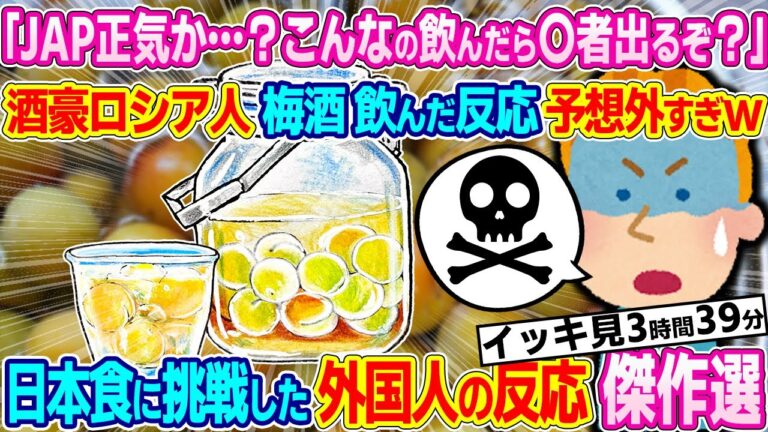【2023年 神回総集編】「この酒クッソ危険だぞ！」知り合いのロシア人に日本の梅酒を飲ませてみた結果ｗｗｗ その他 人気動画詰め合わせ！【ゆっくり解説】【海外の反応】