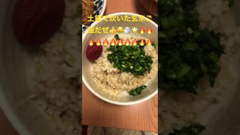 今夜も極上に美味い😋🍽 切り干し大根と人参🥕のきんぴらだぜ👍🤑🔥💵💰🔥💵💰🔥💵チャンネル登録待っているぜ🔥💵💰🔥💵💰🔥💵💰
