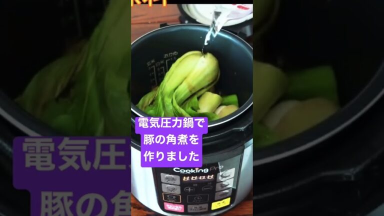 #shorts  【豚の角煮】電気圧力鍋で作りました。続きは本編動画で是非ご覧くださいませ☆