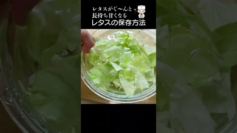 みんな知ってる？パリパリ感甘さ爆増！「レタスの保存方法」#shorts