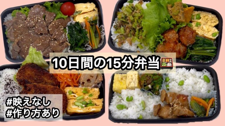 10日間の15分で完成弁当🍱作り方あり