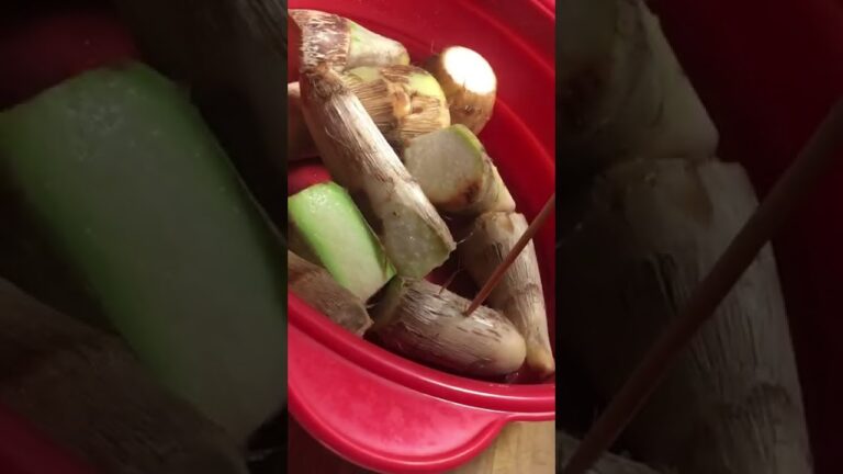 【プライド里芋】皮剥き不要！サクサクほっくり美味しく栄養満点！#Shorts #youtubeショート