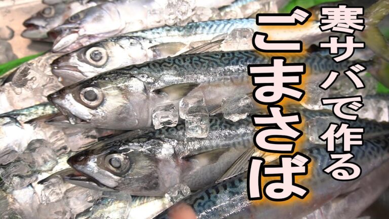 【これだけは必ず作って！】サバが釣れたら絶対に食べてほしい！福岡の味「ごまさば」2022 2 18 岬丸寒サバ料理
