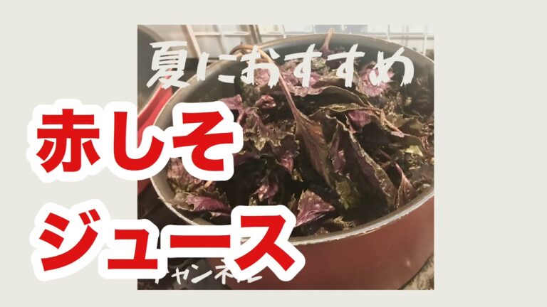 【作り置き】疲労回復に！簡単にできる赤しそジュース