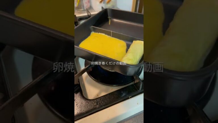 【卵焼き巻くだけの動画】卵1個で初めて綺麗に巻けた嬉しい