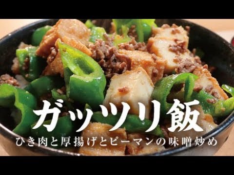 ガッツリ飯：ひき肉と厚揚げとピーマンの味噌炒め【男一匹自炊飯238】