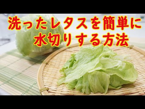 [調理テク] 洗ったレタスを水切りする一番ラクな方法！道具なし！手間なし！簡単！