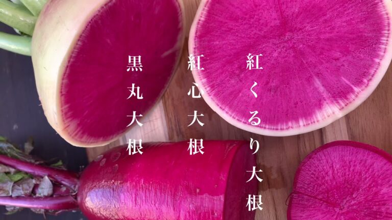 【今が旬❗️】大根が美味しい季節がやってきました！甘みが増して味が染み込みやすい冬の大根❄️カリカリ豚バラの味噌だれバター大根ステーキ！ほっこりこってりほくほくの絶品大根ステーキです！