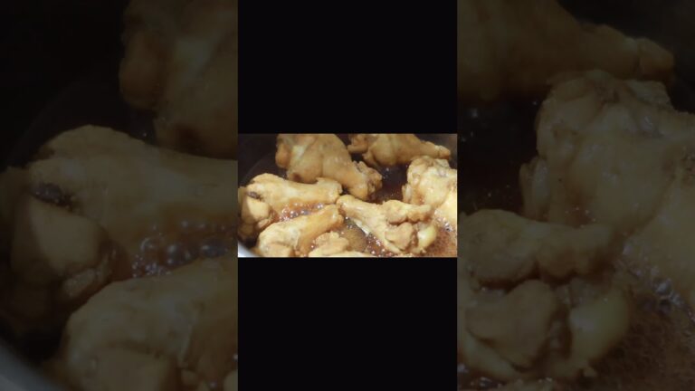 一人暮らしご飯【手羽元のほったらかしカレー煮】2022