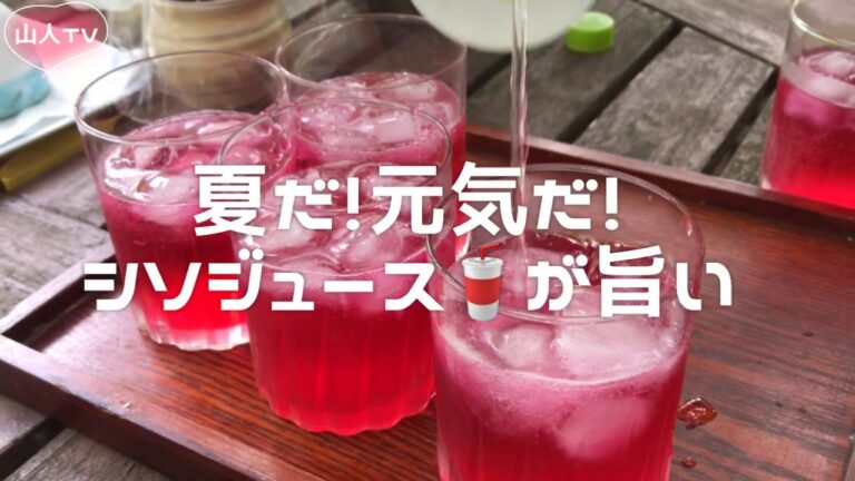 【野草活用術】夏の定番！シソジュースの作り方