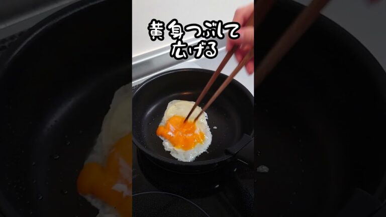 【お弁当作り】専業主婦が作る旦那弁当～ぶりの生姜焼き編～　#shorts