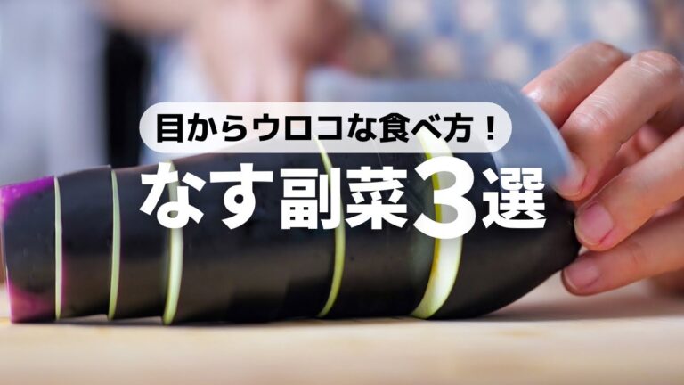 【少ない調味料で劇的に美味しい】感動！とろうま茄子レシピ
