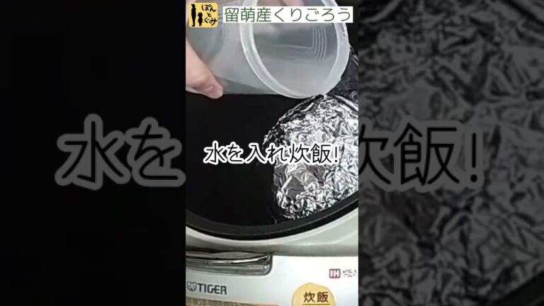 【圧力鍋に負けない】炊飯器で丸ごとホクホクかぼちゃ！その名は栗五郎
