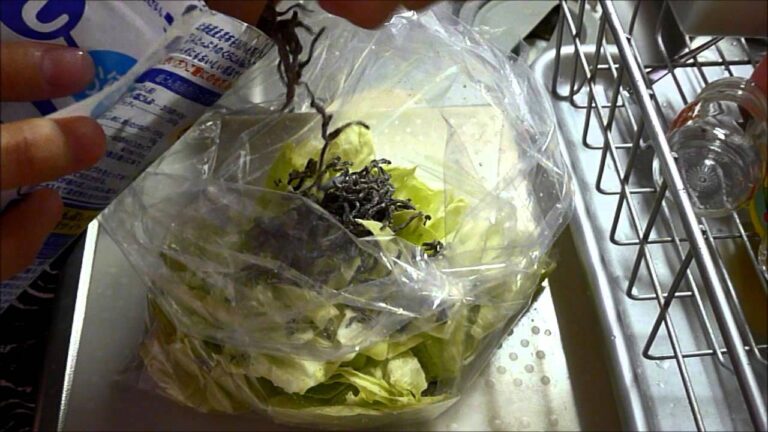【レシピ】塩こんぶでキャベツの浅漬けの作り方 How to make cabbage pickled