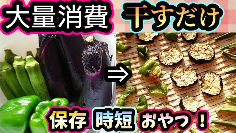 【簡単】干しなすピーマンオクラ〘大量消費•時短調理•保存• 旨み栄養凝縮〙とても便利です！！