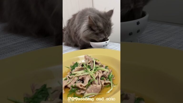 水菜と豚肉のさっぱりうま煮with cats