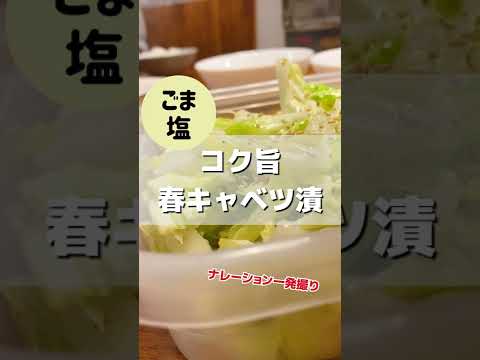 １人１玉食べられる！？コク旨春キャベツの浅漬け