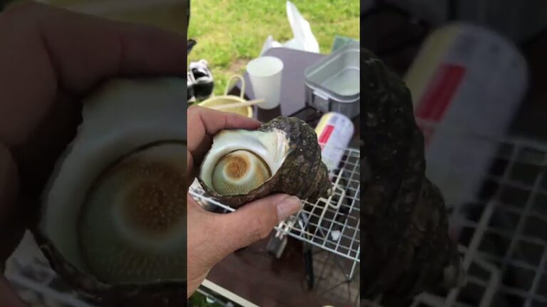 ハマグリとサザエを焼いてみた。 #バーベキュー #キャンプ飯