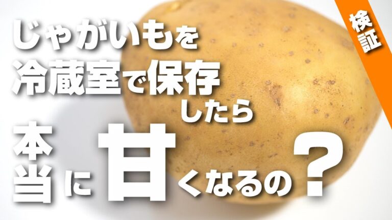じゃがいもは野菜室よりも冷蔵室で保存した方が甘みが増すって本当なの？検証したら意外な結果に！