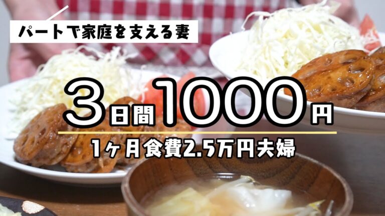 【節約】ひき肉で過ごす3日間1000円以内の晩ごはんレシピ｜購入食材の紹介｜夫婦ふたり暮らし