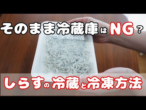 【あさイチ話題】しらすの冷蔵・冷凍保存方法や保存期間　鮮度を保つには？
