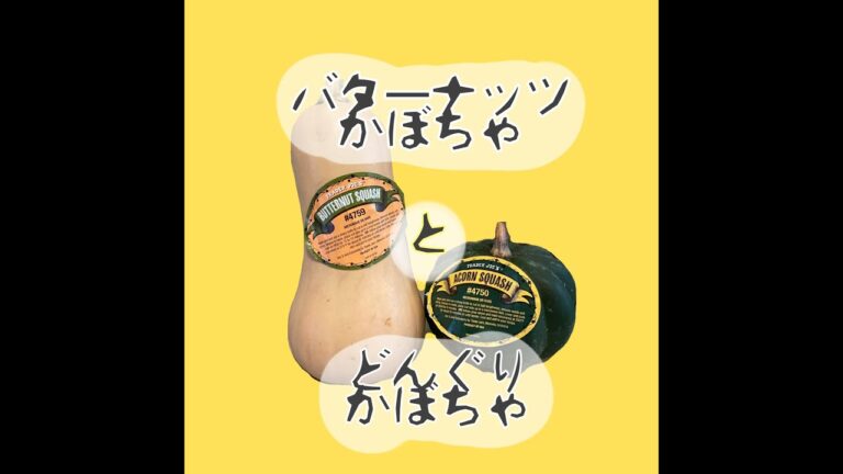 【アメリカ暮らし】どんぐりかぼちゃ、バターナッツかぼちゃを食す！Acorn Squash & Butternut Squash ！料理してみた！のショート！