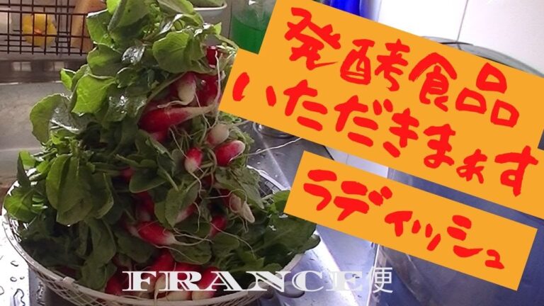 ラディッシュ浅漬け 発酵食品いただきます　　Fermentation de Radis【France便】La Cuisine Minimaliste -Table 5 うちの台所は狭い
